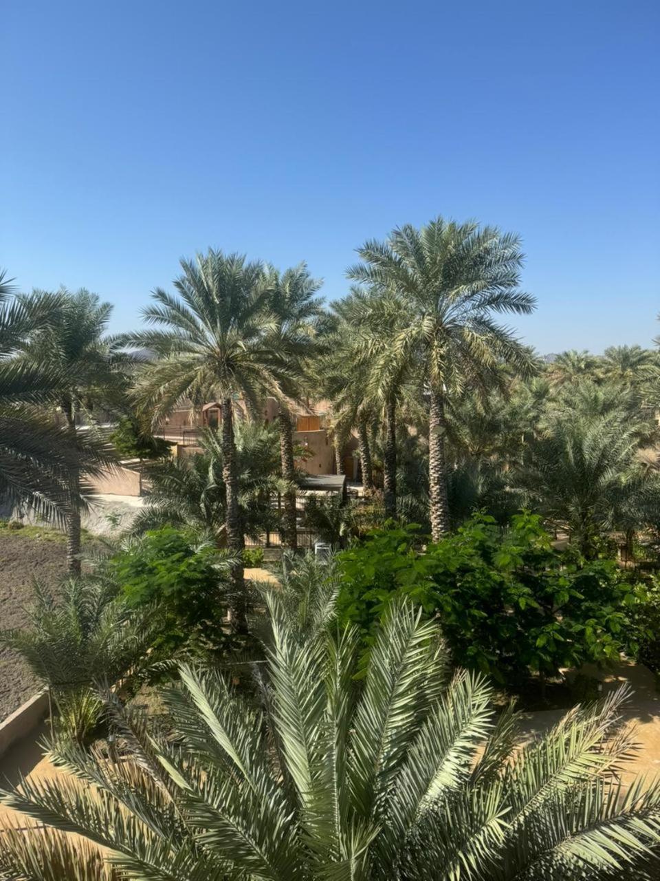 Jawharat Alaqar Inn نزل جوهرة العقر Nizwa Extérieur photo